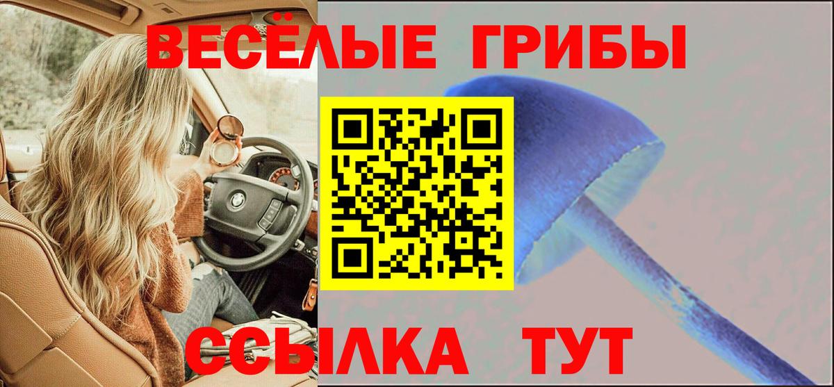 Псилоцибиновые грибы MAGIC MUSHROOMS  купить наркоту  Ярославль  Вход с VPN 